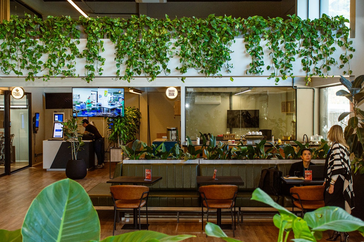 Fotografia de espaço de convivência com mesas, sofás, plantas pendentes e ambientes comerciais ao fundo.